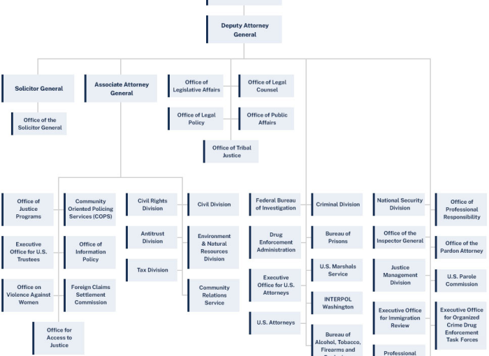 DOJ organizational chart