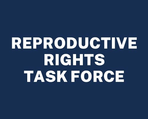 Reproductive Rights Task Force text